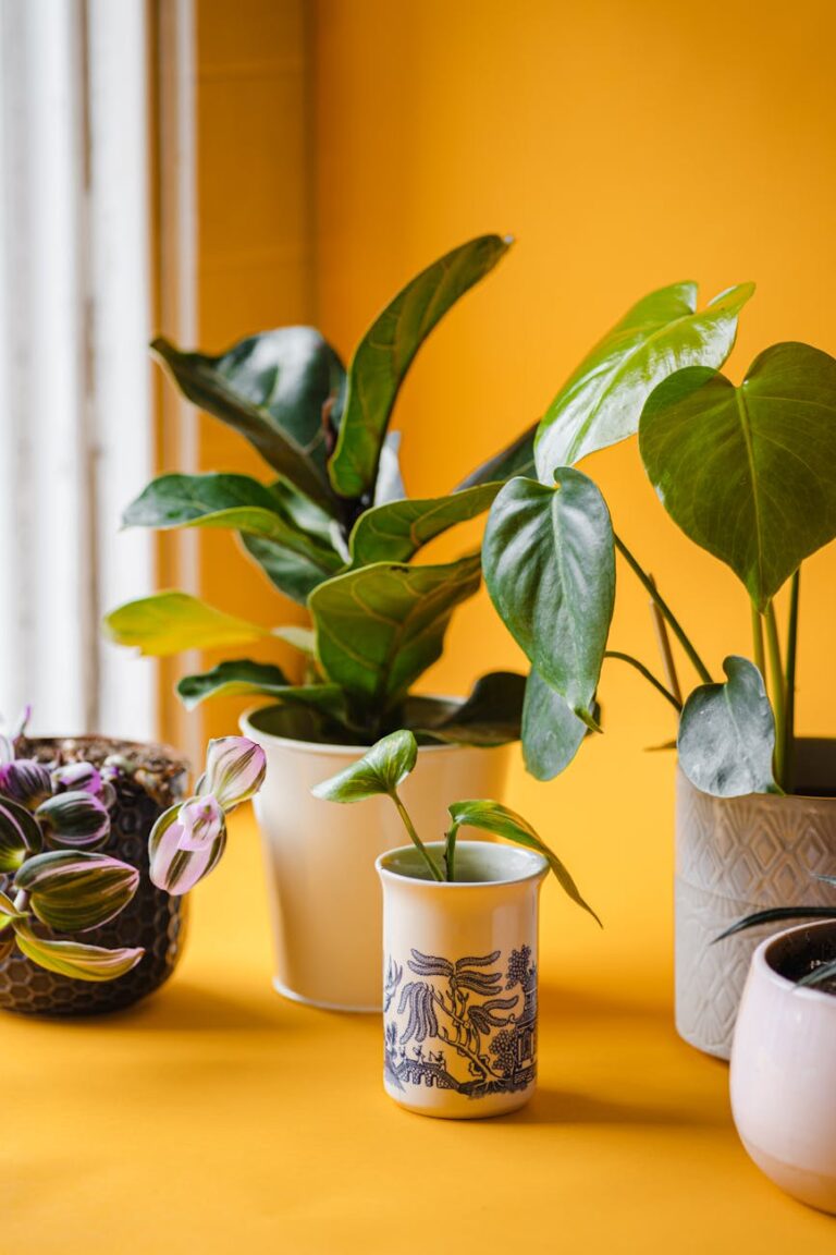 How to Keep Houseplants Thriving Indoors: Essential Care Tips for Every Room
