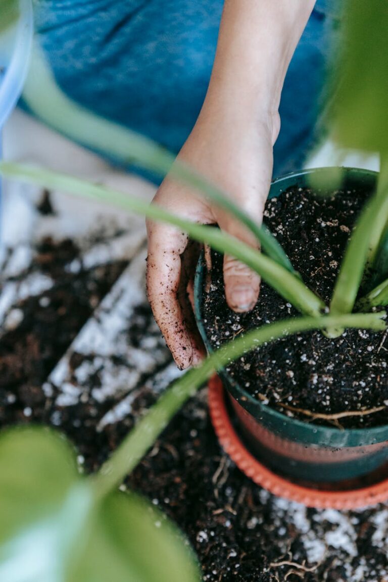 Best Practices for Healthy Houseplants: Soil, Fertilizer, and Pest Prevention